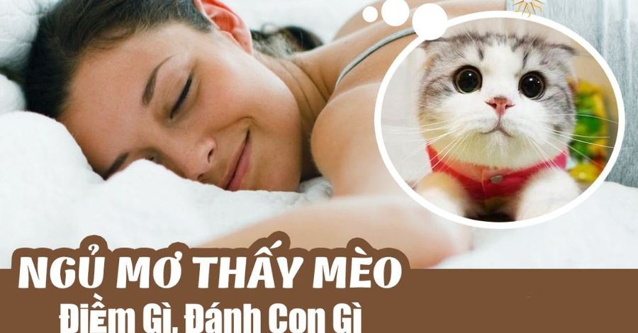 mo-thay-meo-danh-con-gi-tai-cwin555-chi-tiet-1