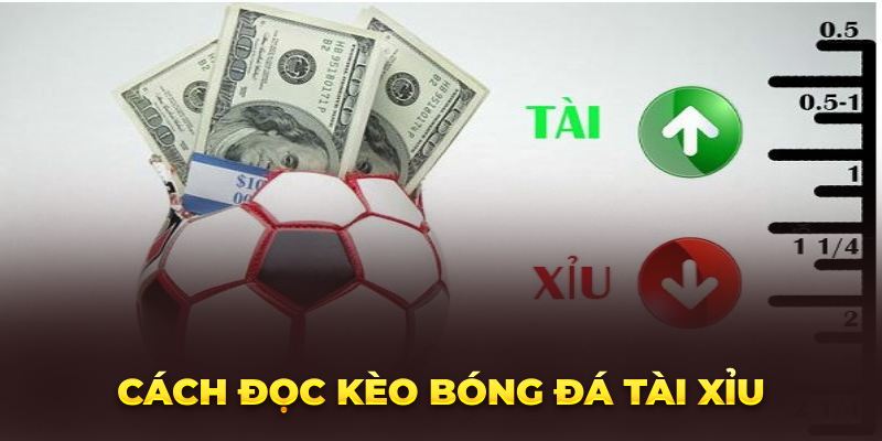 Cách đọc kèo bóng đá tài xỉu