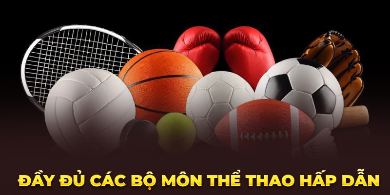 Đầy đủ các bộ môn thể thao hấp dẫn