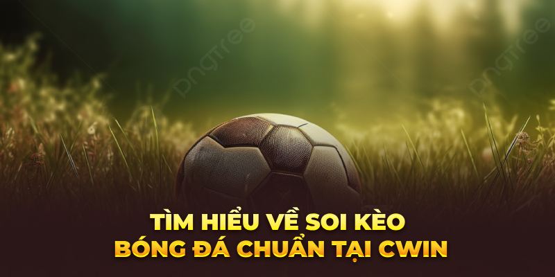 Tìm hiểu về soi kèo bóng đá chuẩn tại Cwin